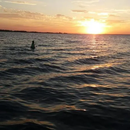 Landliebe Am Stettiner Haff *